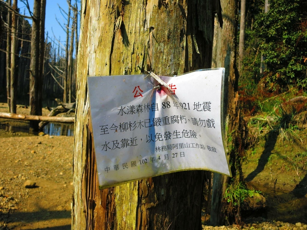 回憶那一年的水漾森林!