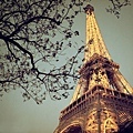 beautiful-light-paris-taylor-launther-Favim.com-287866_large