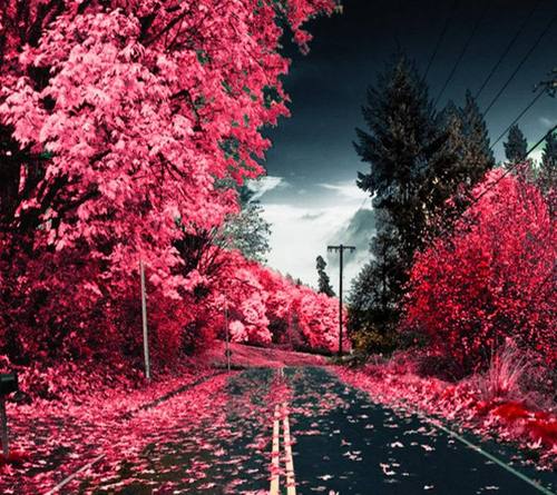 outside-pink-street-Favim_com-306516_large