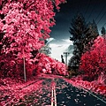 outside-pink-street-Favim_com-306516_large