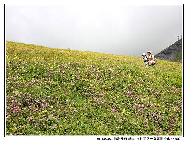 費爾斯特山20