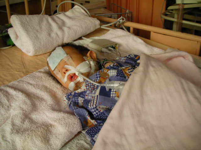 SANY0090.JPG SANY0090.JPG