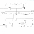 親屬關係及繼承系統表