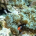 unnamed (32).jpg
