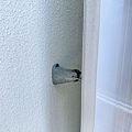 unnamed (20).jpg