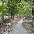 unnamed (5).jpg