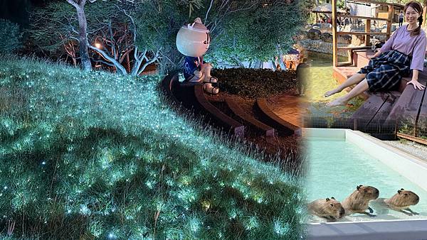 四重溪溫泉季開跑啦！超美燈光藝術一定要來朝聖～在戀戀茴香住上