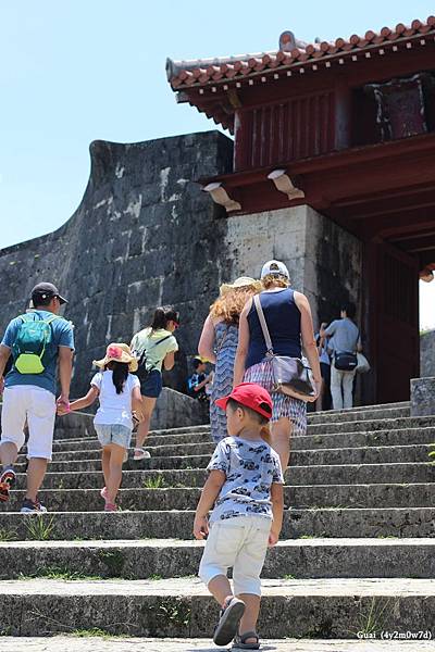 0729-25 乖爬階梯.JPG 0729-25 乖爬階梯.JPG