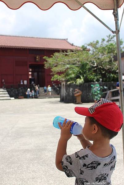 0729-37 乖補充水分.JPG 0729-37 乖補充水分.JPG