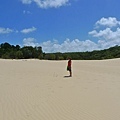 Fraser Island (4) 沙島就是滿滿的沙.JPG