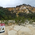 Fraser Island (20) Pinnacles 色彩豔麗的沙質懸崖.JPG