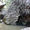 20101020 Mt Kaputar NP, Sawn Rocks (6) 連地上的岩石也是管風琴狀.JPG