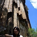 20101020 Mt Kaputar NP, Sawn Rocks (5) 管風琴狀的岩石.JPG