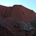 20100901 Uluru 又名Ayers Rock 就是 大石頭 (32).JPG