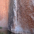 20100901 Uluru 又名Ayers Rock 就是 大石頭 (20) 源泉.JPG