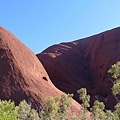 20100901 Uluru 又名Ayers Rock 就是 大石頭 (38).JPG