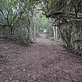 Lamington Nation Park (4) 寧靜.JPG