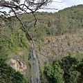 Lamington Nation Park (8) Morans Falls 瀑布.JPG