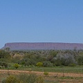 20100901 回愛麗絲泉途中 (50) 不知名的平坦大石頭.JPG