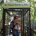 Wildlife Currumbin Sanctuary (24)  天羅地網的鳥園.JPG