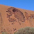 20100901 Uluru 又名Ayers Rock 就是 大石頭 (43) 大青蛙.JPG
