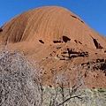 20100901 Uluru 又名Ayers Rock 就是 大石頭 (40) 飛碟.JPG