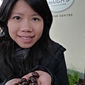 Adelaide 阿德雷德六日遊 (29) 參觀巧克力工廠的免費巧克力.JPG