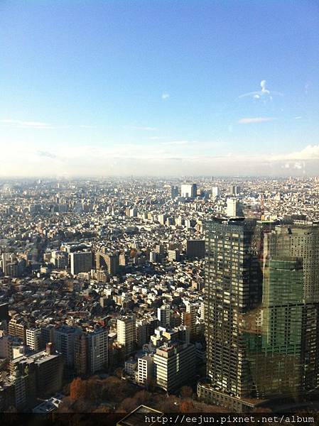 IMG_8427.JPG IMG_8427.JPG