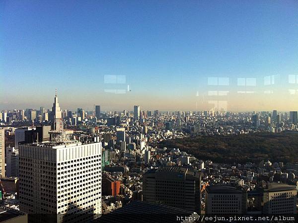 IMG_8446.JPG IMG_8446.JPG