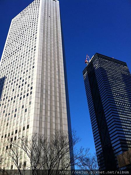 IMG_8458.JPG IMG_8458.JPG