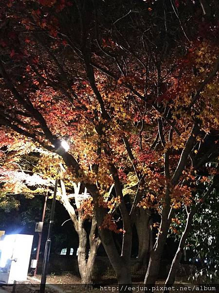 IMG_2263.JPG IMG_2263.JPG