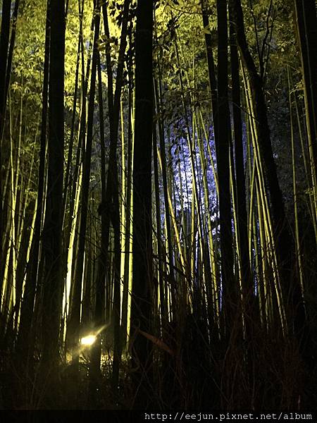 IMG_2191.JPG IMG_2191.JPG