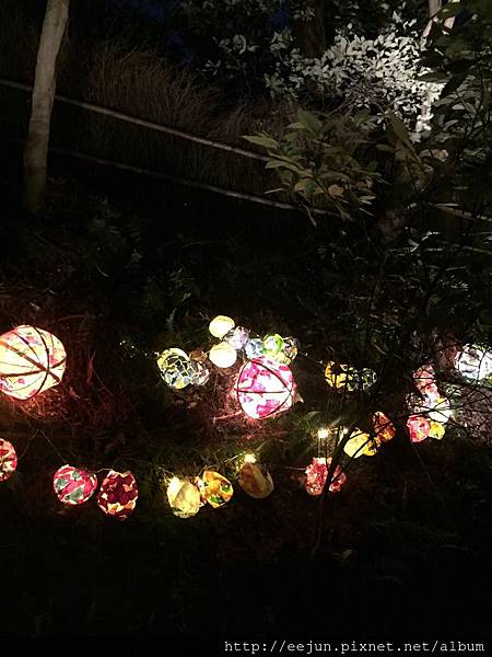 IMG_2212.JPG IMG_2212.JPG