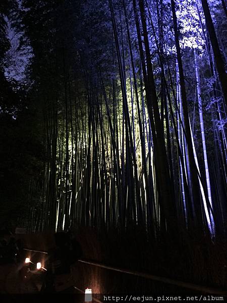 IMG_2193.JPG IMG_2193.JPG