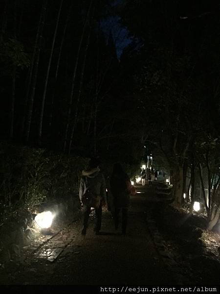 IMG_2216.JPG IMG_2216.JPG