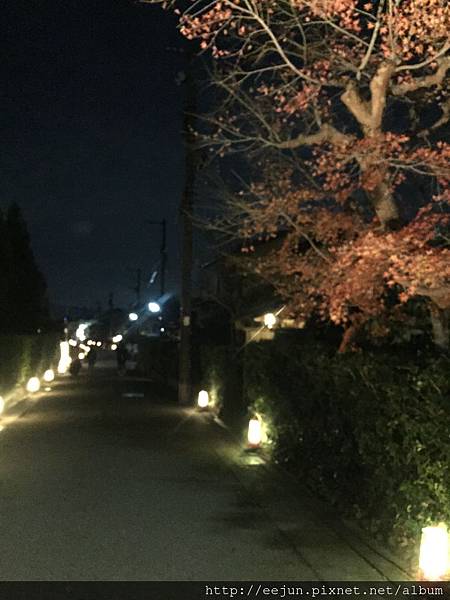 IMG_2226.JPG IMG_2226.JPG