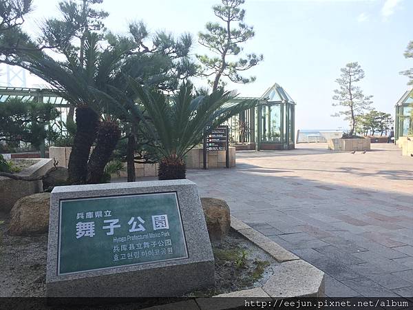 IMG_3874.JPG IMG_3874.JPG