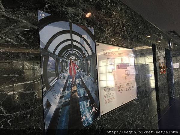 IMG_3894.JPG IMG_3894.JPG