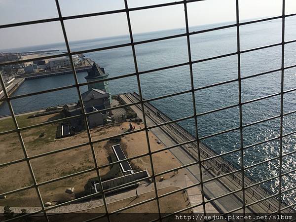 IMG_3896.JPG IMG_3896.JPG