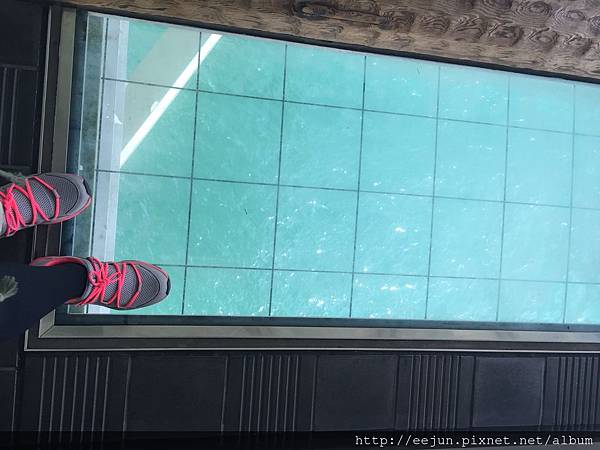 IMG_3897.JPG IMG_3897.JPG