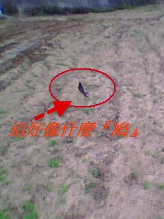 IMG0040A.jpg IMG0040A.jpg