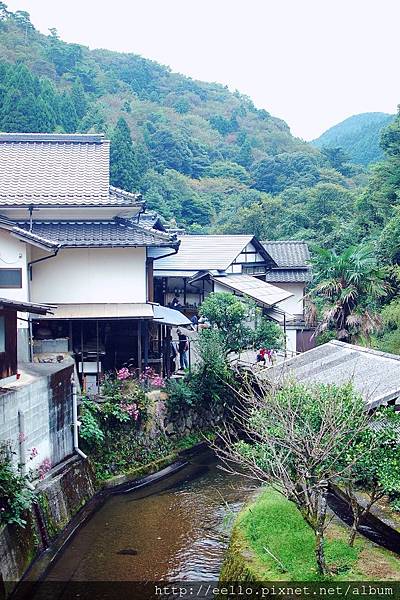 DSC_3900.JPG DSC_3900.JPG