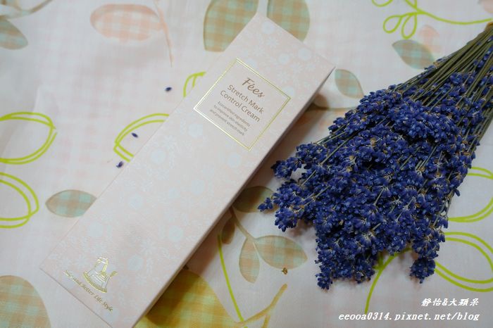 DSC02226.jpg DSC02226.jpg