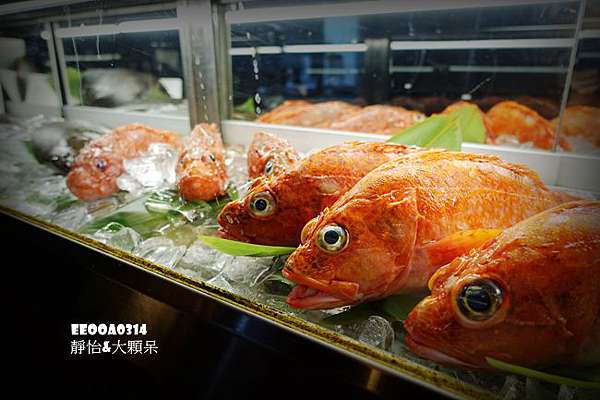 台北美食 香聚鍋 新鮮現流深海魚海陸大餐 美味串燒相聚時刻一起相約香聚 捷運六張犁站優質海鮮火鍋 靜怡 大顆呆の親子 旅遊 美食 台北美食 香聚鍋 新鮮現流深海魚海陸大餐 美味串燒相聚時刻一起相約香聚 捷運六張犁站優質海鮮火鍋 靜怡 大顆呆の親子 旅遊 美食