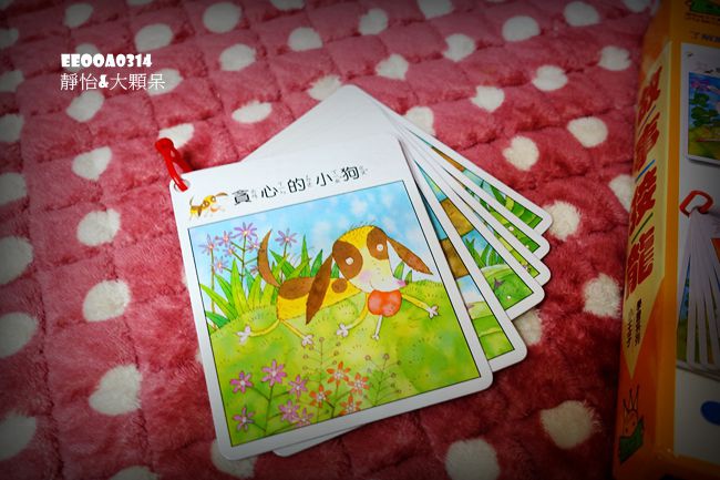 DSC04116_副本 DSC04116_副本