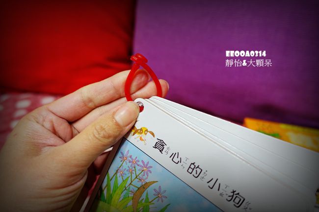 DSC04117_副本 DSC04117_副本