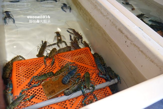 DSC00865_副本 DSC00865_副本