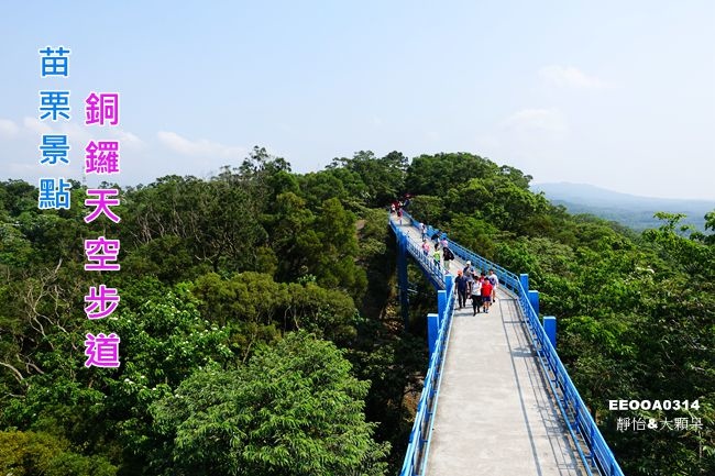 DSC02462_副本.jpg DSC02462_副本.jpg