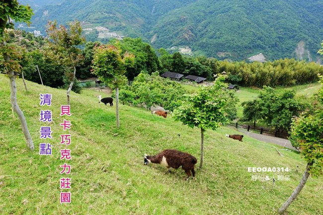 DSC02462_副本.jpg DSC02462_副本.jpg
