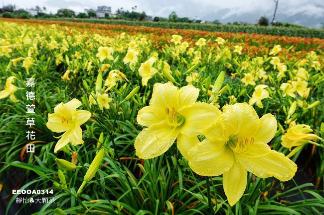 DSC00483_副本.jpg DSC00483_副本.jpg